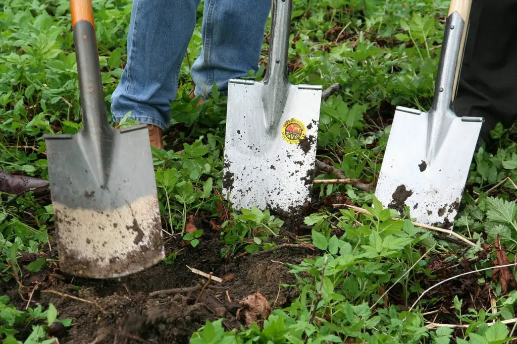 gardening